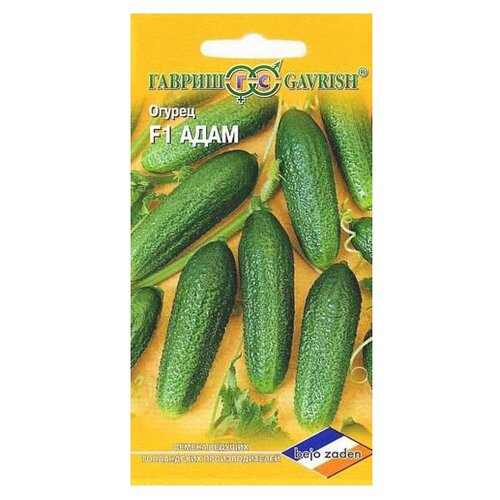    Bejo   F1,  5 .,   235 