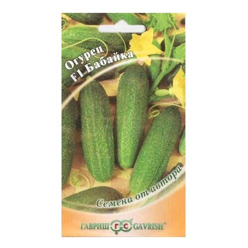 ���� ������ ������ ������ �� ������ ������ ������� F1, �������� 10 ��., ������ �� 508 ���