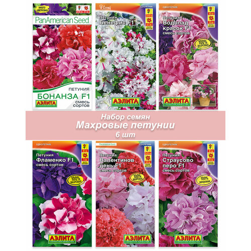 ���� ������ ������ ������� ��������, ������ �� 599 ���