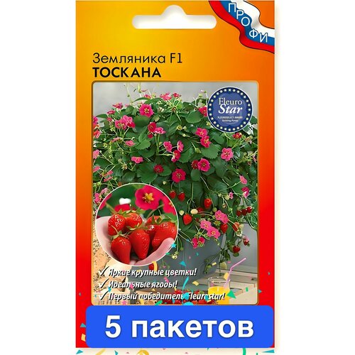 ���� ������ ������ ������� ������ 