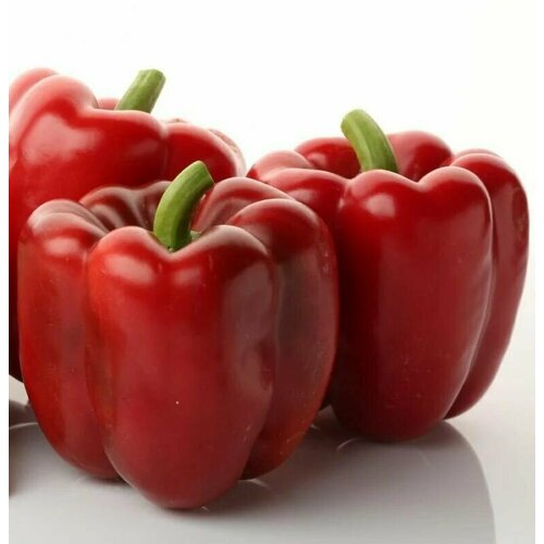 ���� ������������� ������ ����� �������� 3 �������� F1, ������ �� 101 ���