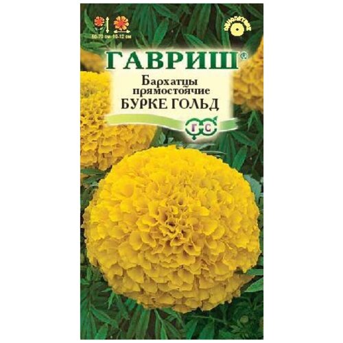 ���� ������. �������� ������������ 