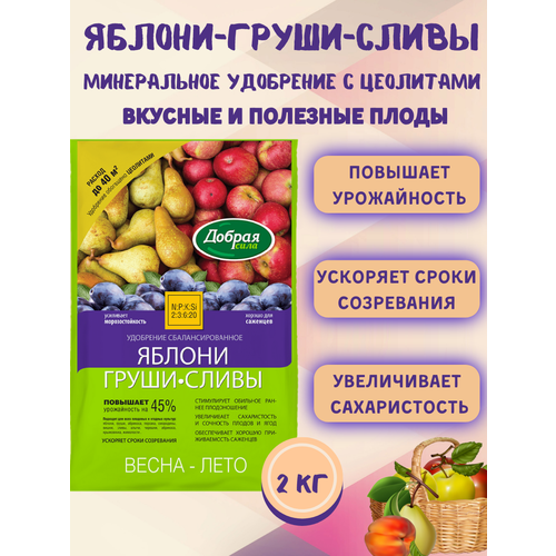 ���� ������ ���� ����� ��������� ������-�����-�����, ����� 2 ��, ������ �� 529 ���