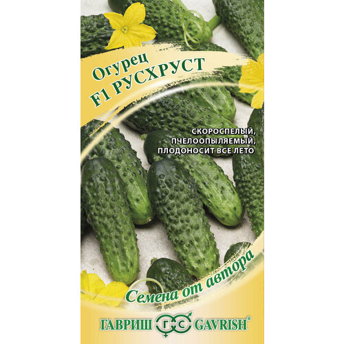 ���� ������ ������ �������� F1 10�� (������) �����, ������ �� 53 ���