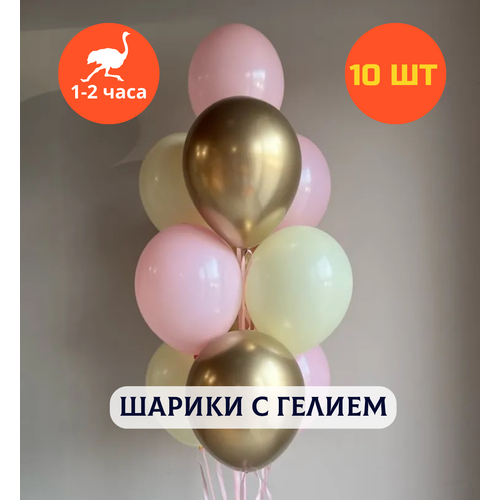 ���� ������ ��������� �� ���� ��������, ��������� ���� � ������, ���� � ���� ��������, ����� ����� ��� ������� 