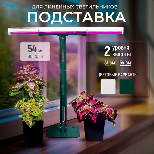    ,    54 . -, ,   750 