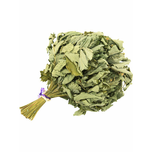 ���� ����� �������� ���� �����, �� ���������, ��� ���� � �����, ������ 2024, ������ �� 444 ���