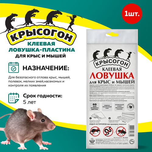 ���� �������� ������� �������-�������� ��� ����� � ����, ������ �� 235 ���