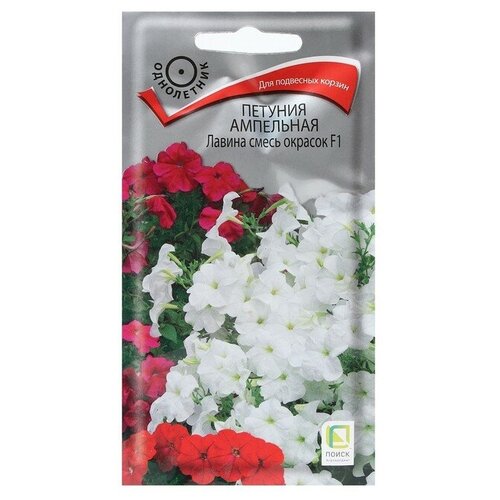 ���� ������ ������� ��������� ������ ����� ������� F1 ���������� 10 ��., ������ �� 239 ���