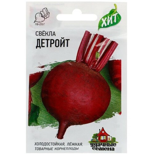 ���� ������ ������ 