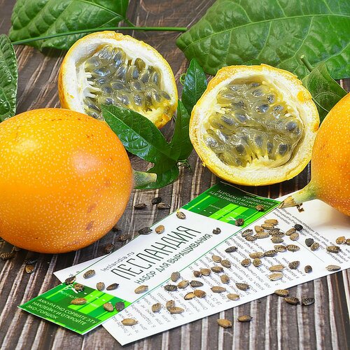 ���� ���������� ��������� ���������� ��������, ������, 5 ��, ������ �� 399 ���