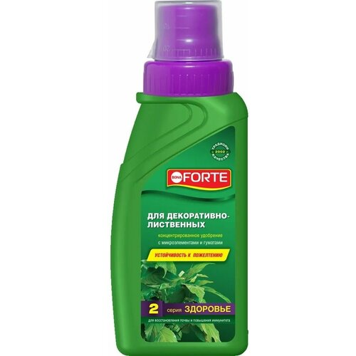 ���� ��������� ��� �����������-���������� �������� 285 ��, ������ �� 1005 ���