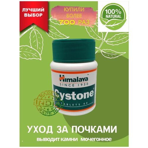 ���� AYURVED-Cyston ��� ������. ����������� �������, ������ �� 435 ���