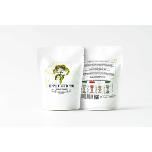 ���� ���� ���������� 10 �����, ������ �� 790 ���