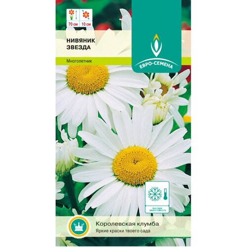 ���� ������� ������ (����������� ������� �������). ������. �����������, �������������, ������������� �������� ������� �� 70 ��. 1 ����� 0,1 ��, ������ �� 179 ���