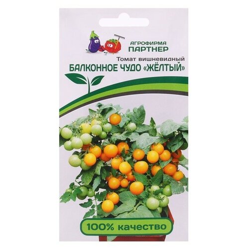 ���� ������ ����� 