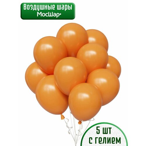 ���� ��������� ��� � ������, ��������� ������, ��� ������� - ������� 5��, ������ �� 890 ���