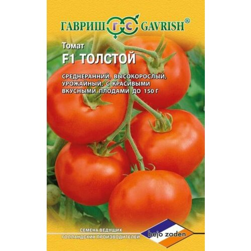 ���� ������ ����� ������� F1 10�� ����� (������), ������ �� 65 ���