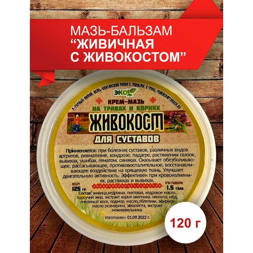 ���� ����-������� 