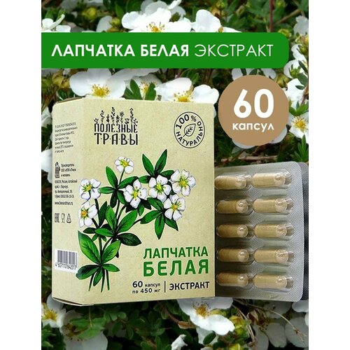 ���� �������� �����, �������� ��� ���������� ������ 60 ������, ������ �� 735 ���