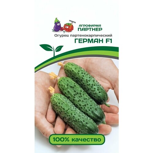 ���� ������ ������ ��������� ������� 