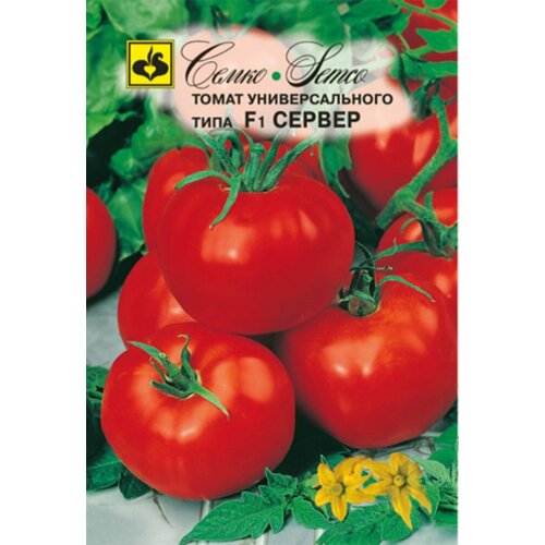 ���� ������ ����� ������ F1 0.1� ��� ������ (�����), ������ �� 105 ���