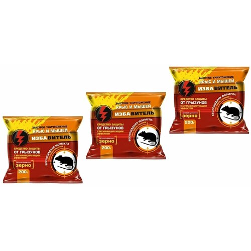 ���� ����� �� ����� � ���� 