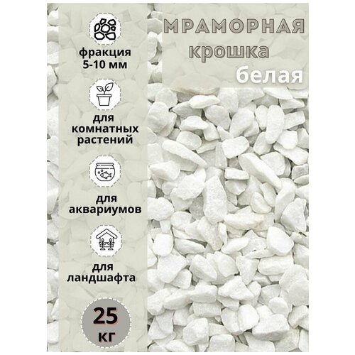 ���� ��������� ������, ������ ����� 5-10 �� (10 ��) ����� ����������� ��� ��������� � ������� ��������, ������ �� 1900 ���