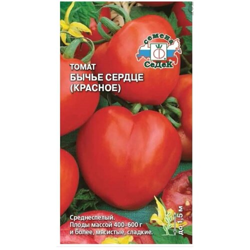 ���� ����� 