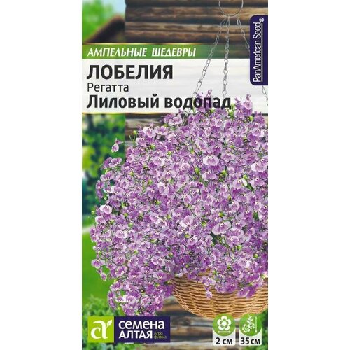 ���� ������ ������� ������� ������� ������� ��������� 8�� 20�� (������ �����) ��������� �������, ������ �� 78 ���