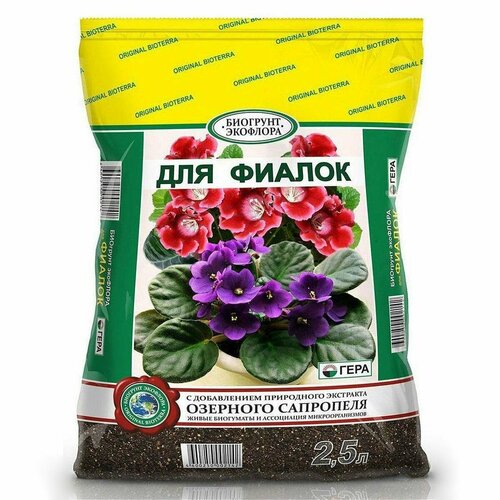 ���� ����� ��� ������ 2,5�, ������ �� 570 ���