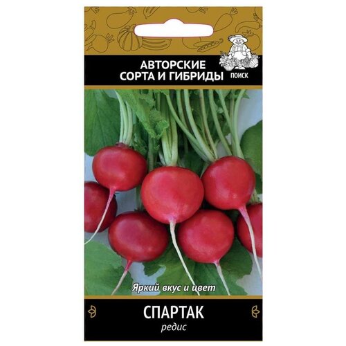 ���� ������ ����� �������, 3 �, ������ �� 45 ���