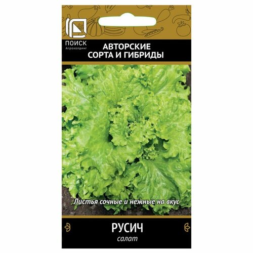 ���� ������ ����� ����� �������� 1� (�����) �����, ������ �� 40 ���