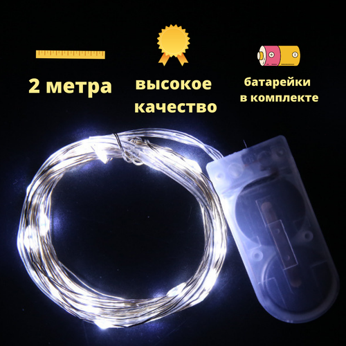 ���� �������� 