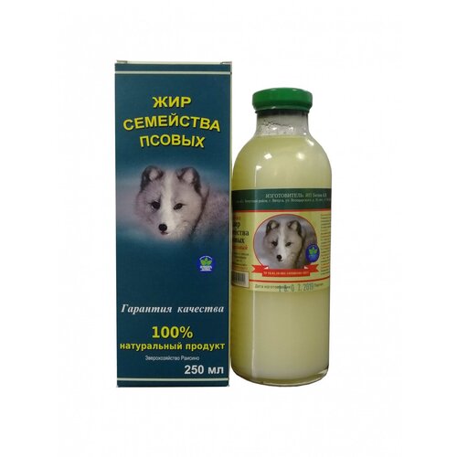 ���� ��� ������� 250 �� ������. ��� ��������� ������, ������ �� 1559 ���