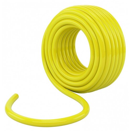 ���� ����� ���������� ������������, ���, 1/2