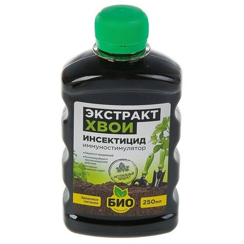 ���� �������� ���� 