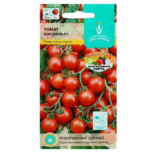 ���� ������ ����� 