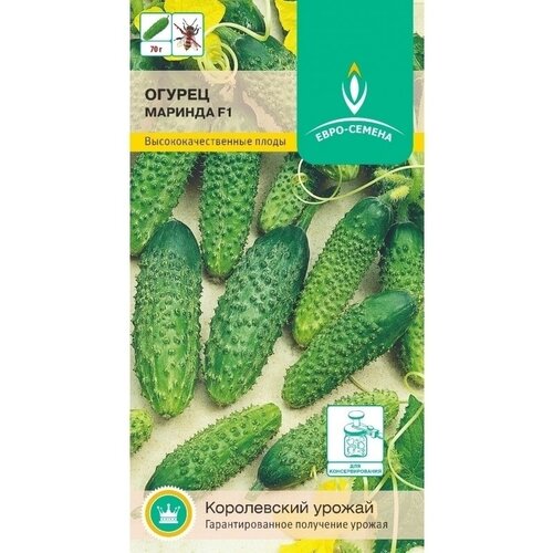    F1. .        .   9-10 . ,  ,   79 