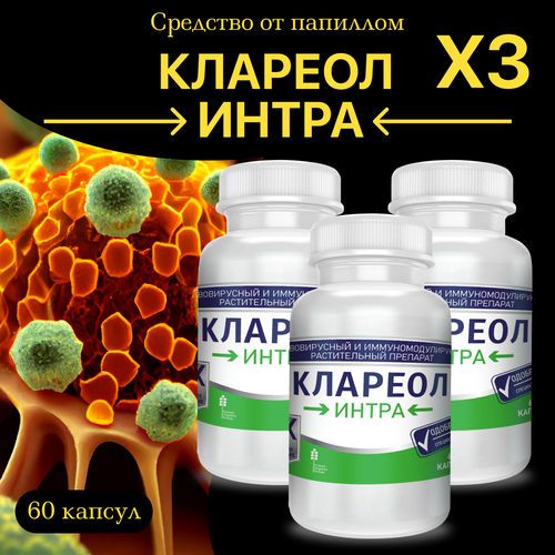 ���� �������� �� ��������� � ��������, 3 ��, 180 ������, ������ �� 1559 ���