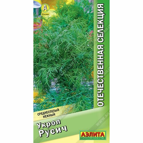 ���� ������ ����� ����� (������) 2� ������������� ��������, ������ �� 45 ���