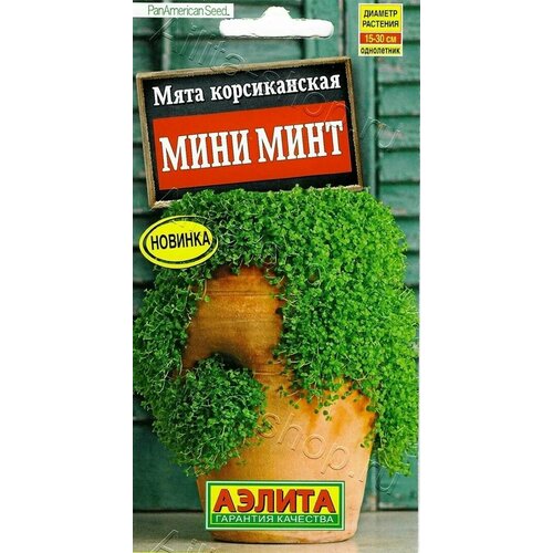 ���� ���� ������������ ���� ���� (3 ��������), ������ �� 599 ���