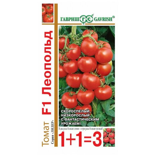 ���� ������. ����� ����������� 