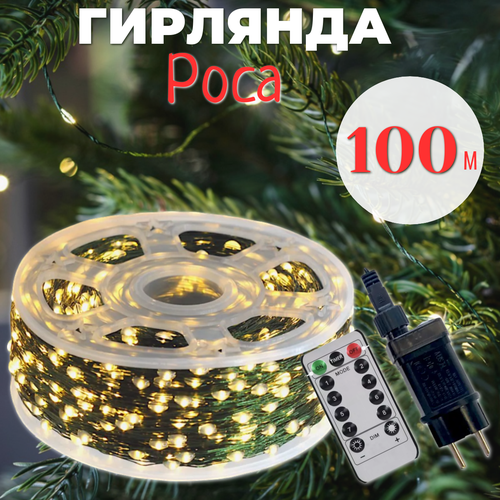 ���� �������� ���� � ������� � ������� ���������� 100 �, ������� ������, ������ ����, ������ �� 1520 ���