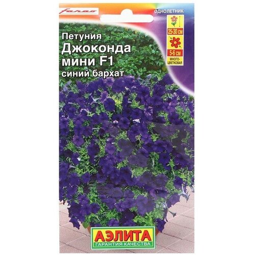 ���� ������ ������� �������� ���� F1 ����� ������, 7 ��, ������ �� 317 ���