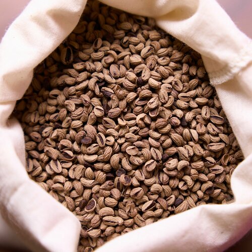 ���� ������ �������� �������� ������, 2 ������ (�������� 60 ��), ������ �� 680 ���