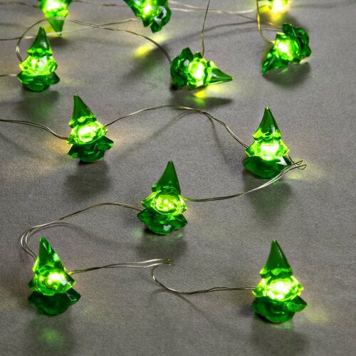 ���� �������� 