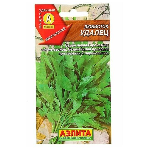 ���� ������ �������� 