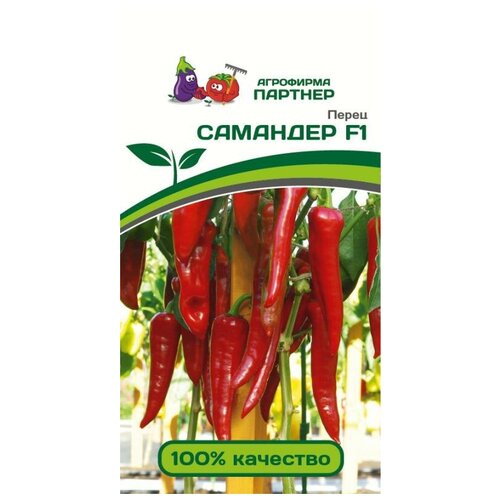 ���� ������� ������ ����� ������� 