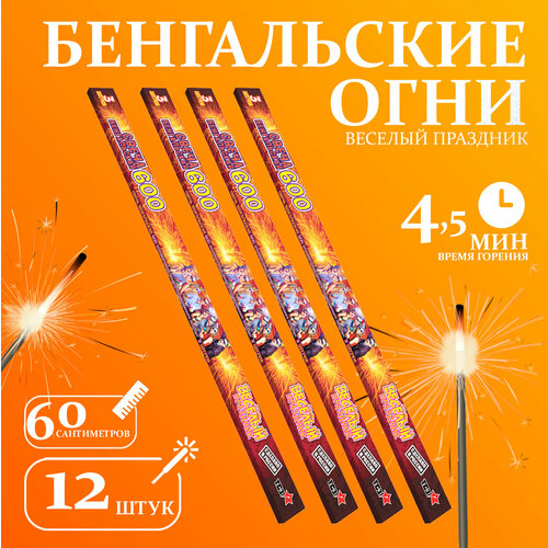 ���� ����������� ���� 